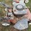 2-lawn-mowers-image-4