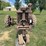 farmall-f-20-image-12