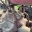 farmall-f-20-image-34