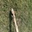 wagon-w/-sides-image-10