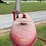 farmall-b-image-40