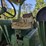 john-deere-4620-image-7