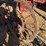 farmall-f-12-image-21