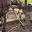 farmall-f-20-image-45