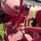 1939-farmall-h-tractor-image-7