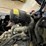 #8019-•-toyota-lp-powered-forklift-image-30