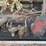 farmall-f-14-image-63