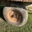 flat-rack-wagon-image-14