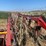 sitrex-wheel-rake-image-10