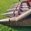 case-ih-1063-image-19