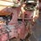 farmall-806-image-63