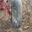 farmall-560-image-11