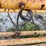 new-holland-258-image-13