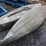canoe-image-3