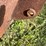#1285-•-front-loader-bucket-attachment-image-17