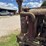 farmall-f-20-image-52