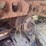 caterpillar-d8-image-33