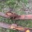 #1137-•-set-of-fork-extensions-image-9