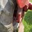 farmall-b-image-27