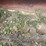 #1121-•-kai-wlk15-payloader-tractor-image-24