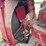 farmall-f-12-image-44