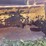 #1286-•-front-loader-bucket-attachment-image-11