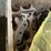 deere-700h-image-5