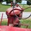 farmall-b-image-38