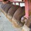 kewanee-1010-image-5