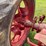 farmall-f-14-image-29