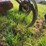 glencoe-soil-saver-image-20