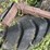 #1295-•-tire-yard-scraper-attachment-image-11