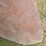 2-fenders-image-7