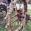 farmall-f-12-image-10