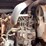 #302-•-2022-jlg-rt2669-scissors-lift-(wautoma,-wi)-image-17
