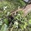 #1294-•-tracks-and-truck-rack-frame-image-18