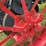 1927-farmall-regular-image-23