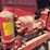 farmall-f-12-image-49