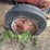 mccormick-wd-9-diesel-image-15