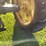 john-deere-50-image-23