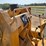 1974-john-deere-450-image-17