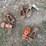 snap-couplers-image-1