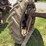 farmall-f-20-image-19