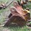 #1138-•-4-tooth-backhoe-bucket-image-8