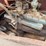 federal-grain-truck-image-69