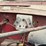 federal-grain-truck-image-65