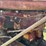 farmall-c-image-25