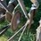 john-deere-8200-image-23