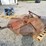 bush-hog-sq60-image-3