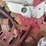farmall-560-image-38
